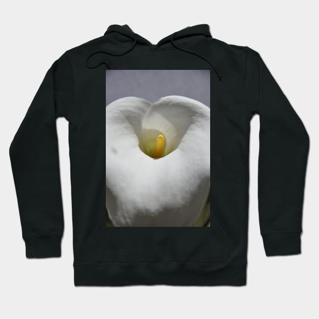 White Calla Lily Hoodie by MolinArte